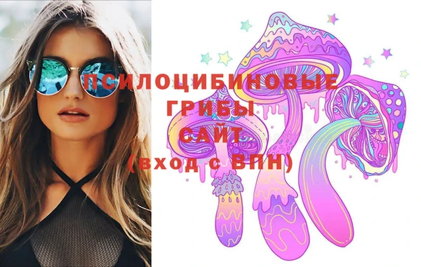 Альфа ПВП Белокуриха