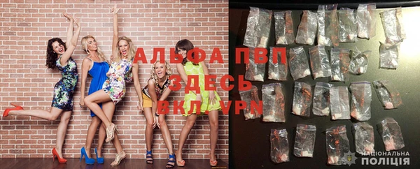 Альфа ПВП Белокуриха