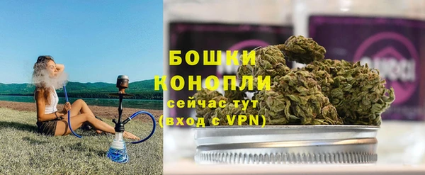 Альфа ПВП Белокуриха