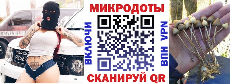 нарко площадка клад  Вятские Поляны  Галлюциногенные грибы ЛСД 